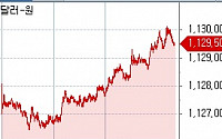 원·달러 장중 1130원 터치..미·중 정상회담 앞두고 안전선호
