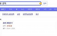 다음, 군더더기 없는 검색결과 제공...스마트앤서 출시