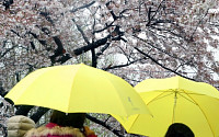 [오늘날씨] 전국 흐리고 봄비, 낮부터 그쳐…서울 낮 최고 20도, 미세먼지 좋음·보통