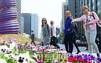 [포토] 한국의 봄 만끽하는 외국인관광객들