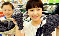 [포토]꿀보다 단 스튜벤 맛보세요~ 