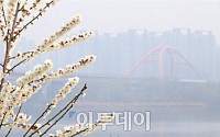 [일기예보] '곡우' 오늘 날씨, 전국 맑고 일교차 커…서울 낮 25도 '미세먼지 '나쁨'