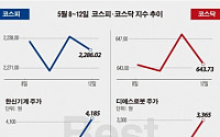 [베스트&amp;워스트] 코스닥, 디에스로봇 中 로봇시장 진출 기대감에 36.7% ‘급등’