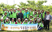 한국감정원, 1사1촌 자매결연마을 농촌 일손돕기 봉사활동 펼쳐