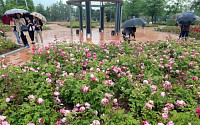 [일기예보] 오늘 날씨, 전국 흐리고 곳곳에 비…'서울 낮 27도' 다시 초여름 더위 &quot;미세먼지 보통&quot;