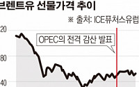 [키워드로 보는 이슈] OPEC 총회 D데이…국제유가, 감산연장 효과 있을까