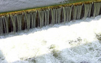 하천 뺀 물관리일원화 논란