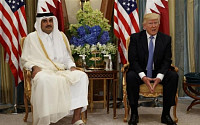 중동국 ‘카타르 단교’ 막후에 트럼프 있었다