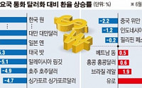 [데이터 뉴스] 올해 원화가치 상승률 최고…美금리인상 후에도 지속될 듯