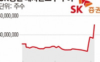 SK증권, 공매도 세력에 노출?… 대차잔고 보름새 51% 급증