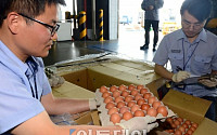 [포토] 계란 값 잡기위해 온 태국산 계란