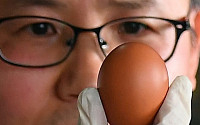 [포토] 태국산 계란, 꼼꼼히 확인
