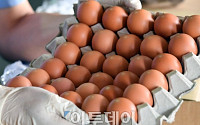 [포토] 태국에서 온 계란입니다