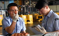 태국산 계란 수입에 차질…수입업자 연락 두절 &quot;계란 200만 개는 어디에?&quot;