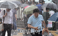 [일기예보] 오늘 날씨, 전국 비 최대 150mm·제21호 태풍 '제비' 북서진…'서울 낮 최고 기온 27도' &quot;미세먼지 좋음&quot;