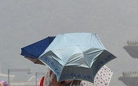 [포토] 게릴라성 호우 내리는 광화문광장