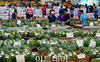 [포토] 여름과일 수박, 폭우로 가격 상승