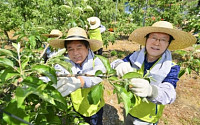 김용환 NH농협금융 회장 한소리에 만든 ‘農사랑’… 의외의 선전
