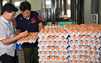 '살충제 계란' 여파 계란 판매 40% 감소…정부가 불신 키워