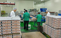 [종합] 살충제 사용 농가 67곳 확인 ... 적합 판정 844곳 계란 유통 허용