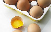 친환경 계란까지 '살충제 계란'… 믿을 수 있는 '유기축산 계란' 14곳은 어디?