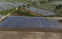 “농사 지으면서 전기도 판매” 영농형 태양광 발전 개시
