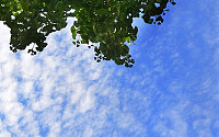 [포토] 가을 문턱, 하늘에 구름