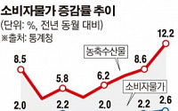 8월 소비자물가 2.6% 상승…5년4개월 만에 최대폭