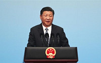 中 시진핑 “브릭스가 개방 경제·무역 자유화 촉진할 것”