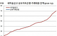 새마을금고 가계대출 사상 첫 70조 돌파 ‘엑셀 밟은 증가속도’