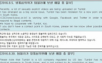 텀블러, 방심위 '음란 불법 콘텐츠 대응 협력' 거절