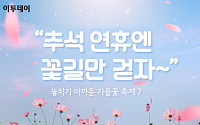 [카드뉴스 팡팡] “추석 연휴엔 꽃길만 걷자~”