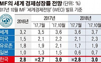 韓 성장률 올랐지만 北核ㆍ사드 리스크 ‘복병’