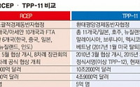 ‘메가 FTA’RCEP 20차 협상 개최…사드 갈등 물꼬 트나