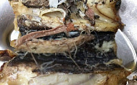 의정부 한 고교 급식 갈치조림에 '고래회충'… 학생들이 올린 사진엔 회충 득실
