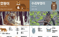 한국인이 가장 좋아하는 생물은 '호랑이·수리부엉이·민들레'