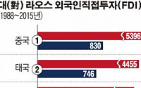 [헬로! 아세안] 낮은 인건비 강점… 韓 자영업자들 최근 증가세