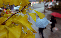 [포토] 가을비 내리는 출근길