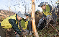 예탁결제원 임직원, 온실가스 감축을 위한 ‘숲 가꾸기 봉사활동’