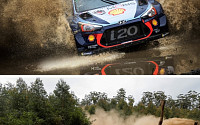 현대차 2017 WRC 최종전 우승…호주랠리 1, 3위 석권