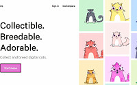 고양이 수집 게임 '크립토키티즈', 이더리움 킬러앱으로 등장