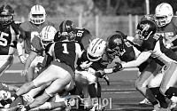 [포토]한국판 슈퍼볼 '김치볼'