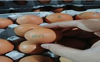 살충제 부적합 계란 추가…비펜트린 농장서 피프로닐 설폰 검출