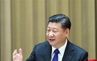 [글로벌 경제 위협하는 中 부채 폭탄] 中. “성장보다 안정”…부채와의 전쟁 선포한 시진핑