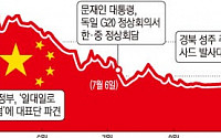 [2017 증시 결산] ③사드 보복에 일년 내내 출렁인 '중국소비주'
