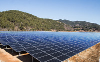 OCI, 남해 태양광발전소 본격 가동해 태양광 시장에 활력 충전