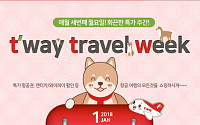 티웨이항공, 'ttw' 특가 판매…후쿠오카 4만6300원부터