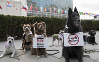 “화장품 동물실험 중단해주세요” 더바디샵, 반려견들과 반대 시위
