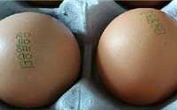 살충제 부적합 계란 추가…난각코드 ‘13승일농장’