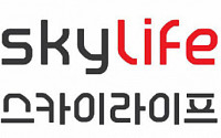 KT스카이라이프, 4Q 영업익 170억원…전년비 3.1% 증가